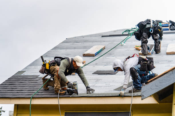 Professional Roofing technician working in Burnside, IA